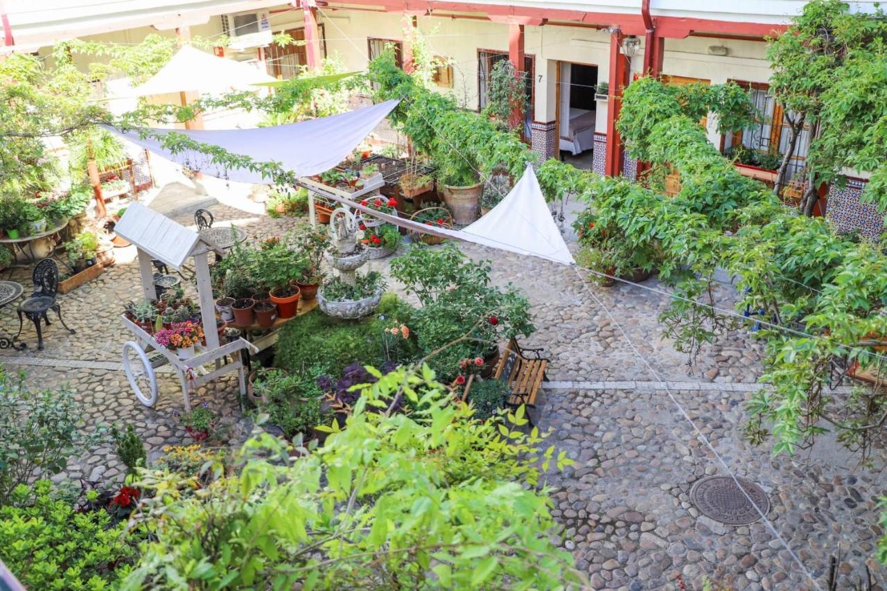 Hostal Castilla Aranjuez Zewnętrze zdjęcie